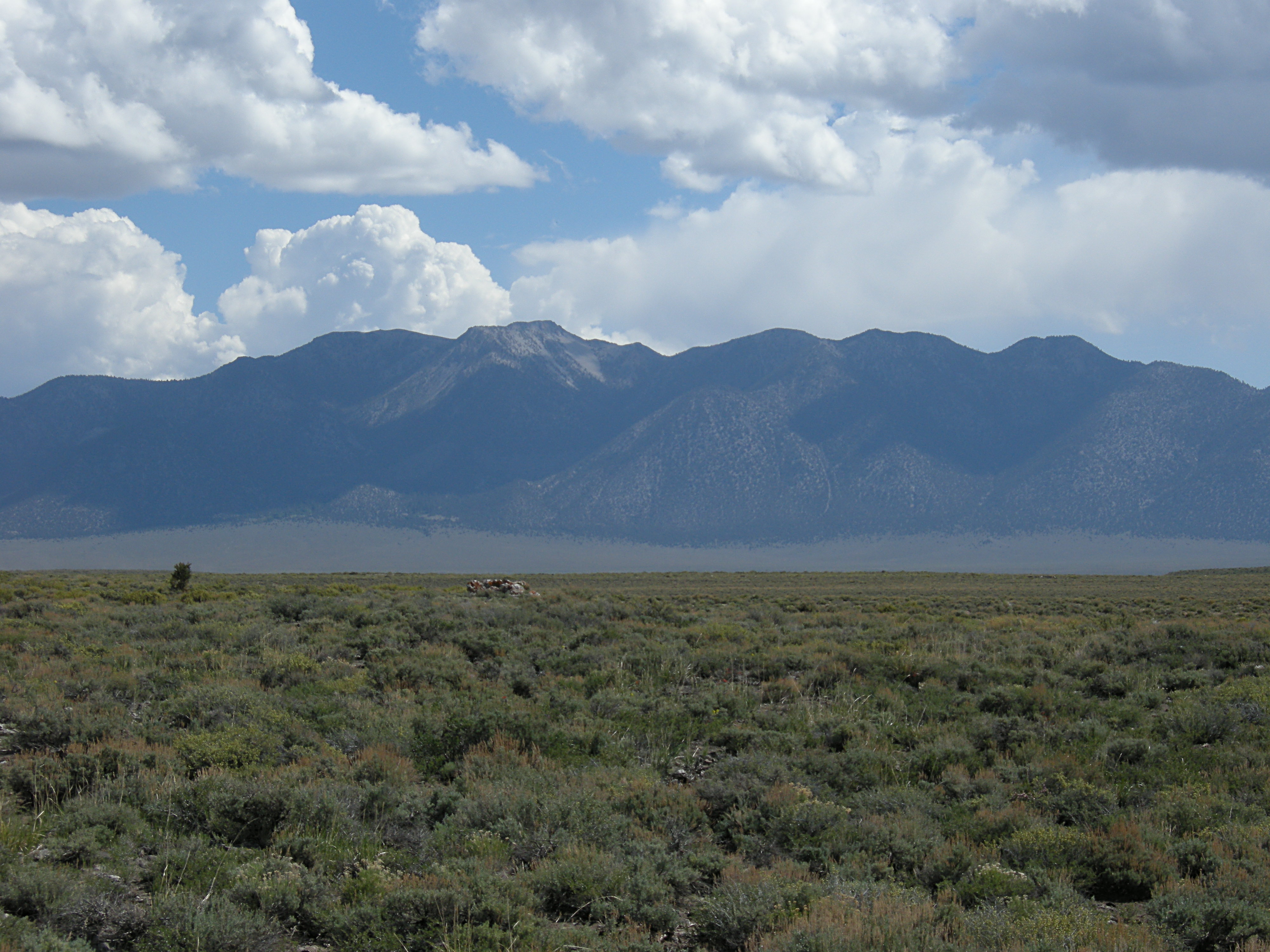 Mountain California