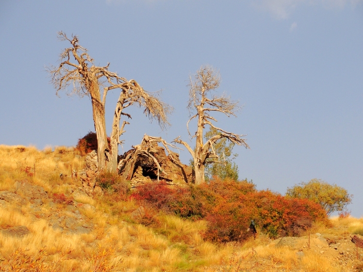 Ali   Saeidi   NeghabeKoohestaN, Damavand (دماوند)