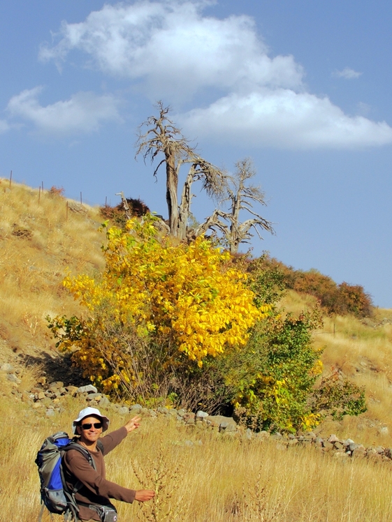 Ali   Saeidi   NeghabeKoohestaN, Damavand (دماوند)