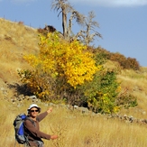 Ali   Saeidi   NeghabeKoohestaN, Damavand (دماوند)