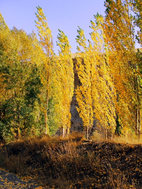 Ali   Saeidi   NeghabeKoohestaN, Damavand (دماوند)