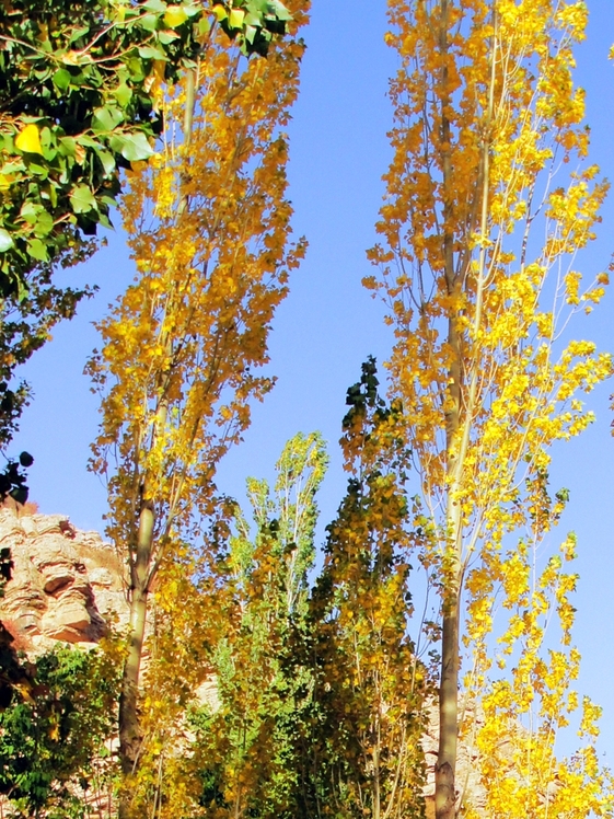 Ali   Saeidi   NeghabeKoohestaN, Damavand (دماوند)