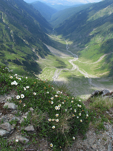 Vistea valley from close to the peak, Moldoveanu