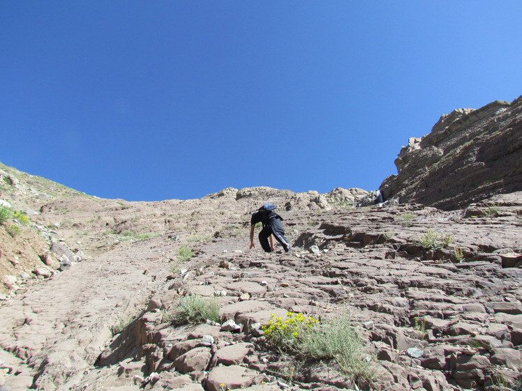 naser ramezani :  mount rizan, Damavand (دماوند)