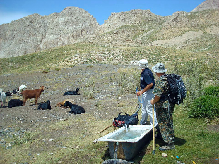 Ali Saeidi NeghabeKoohestaN, Damavand (دماوند)