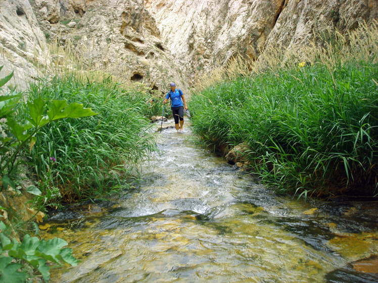 Ali Saeidi NeghabeKoohestaN, Damavand (دماوند)