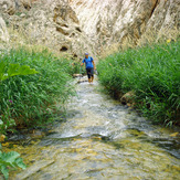 Ali Saeidi NeghabeKoohestaN, Damavand (دماوند)