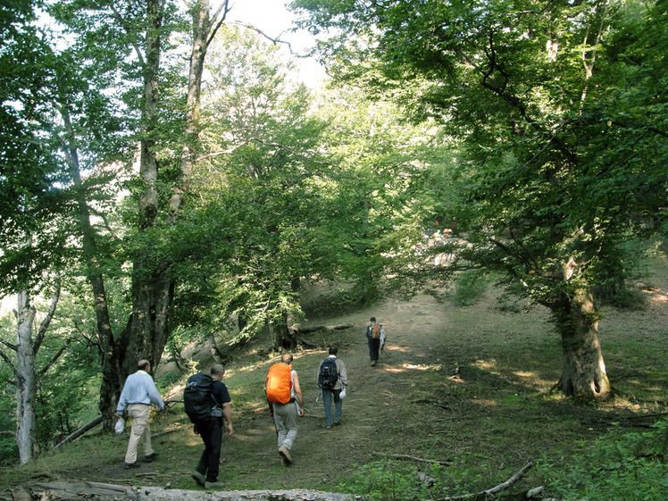 Ali Saeidi NeghabeKoohestaN, Damavand (دماوند)