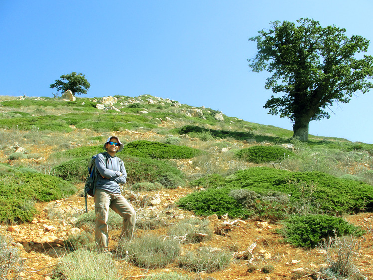 Ali Saeidi NeghabeKoohestaN, Damavand (دماوند)