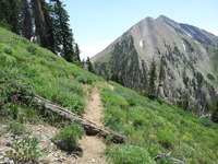 Mount Nebo from North Peak Trail photo