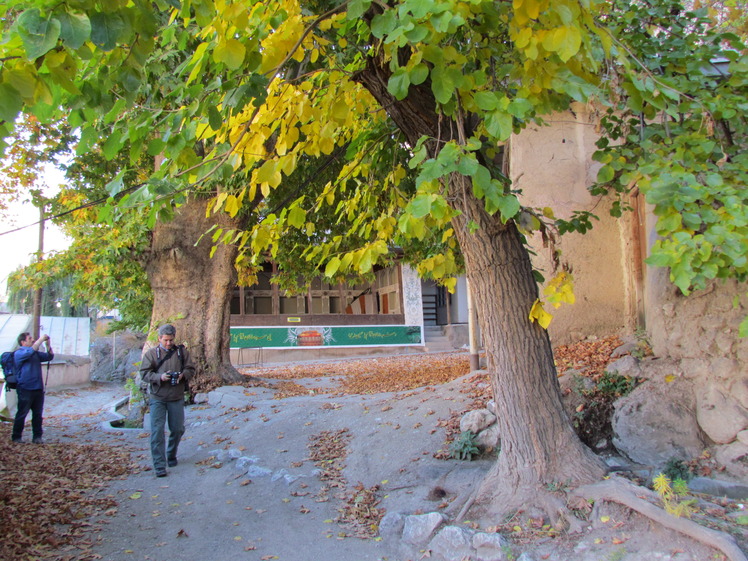 naser ramezani malek bahman castle, Damavand (دماوند)