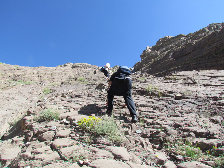 naser ramezani atashkouhl, Damavand (دماوند)