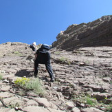 naser ramezani atashkouhl, Damavand (دماوند)