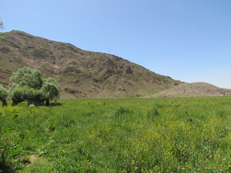 naser ramezani atashkouh, Damavand (دماوند)