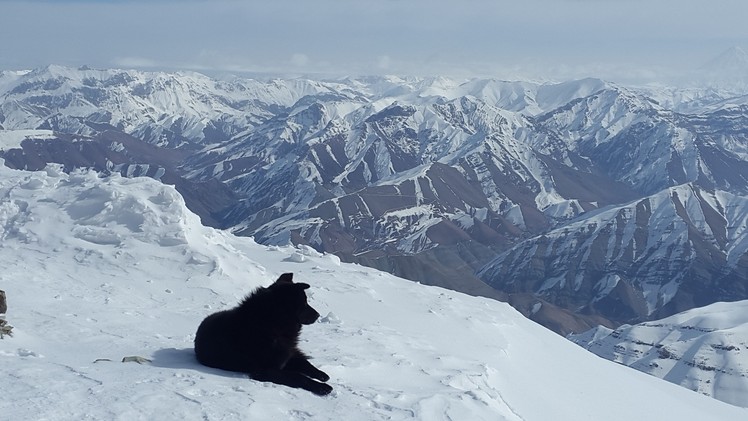 Black Dog on the peak, Tochal