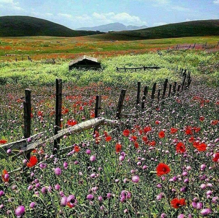 naser ramezani Sabalan, سبلان