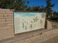 Mt. Pinos summit signage, Mount Pinos photo