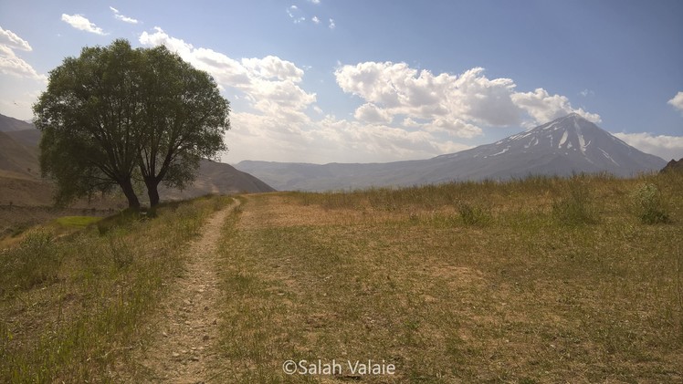 Azoo wold, Damavand (دماوند)