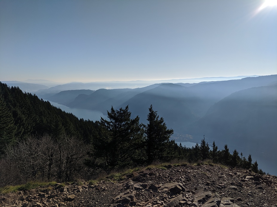 Standing on Puppy Summit, Dog Mountain