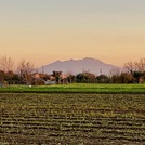 Vesuvius - evening light