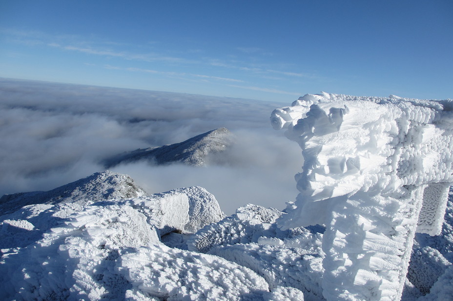 Atop Adams, Mount Adams