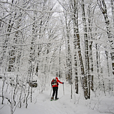 Winter Wonderland on trail to Mt. VanHoevenbery, Adirondacks, NY, Mount Van Hoevenberg