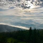 Above the clouds, Mount Mitchell (North Carolina)