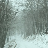 Snowy Drive, Spruce Knob