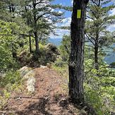 Whispering Pine Cliffs, Pine Mountain (Appalachian Mountains)