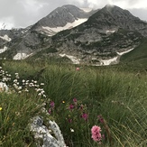 Oshten mountain., Mount Fisht