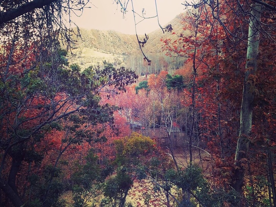 Qalat in Fall, Ghalat