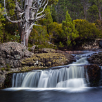 Pencil Pine Falls, Cradle Mountain