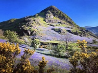 Rannerdale bluebells, Rannerdale Knotts photo