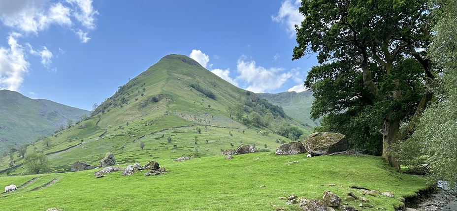 High Hartsop Dodd from the Settlement 