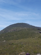 Mt. Banks from base, Mount Banks photo