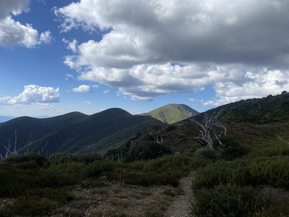 Mount Feathertop