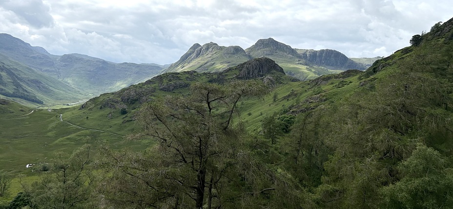 Lingmoor Fell - early evening view 