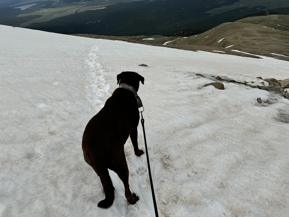 Snow Sheet Crossing, Mount Elbert