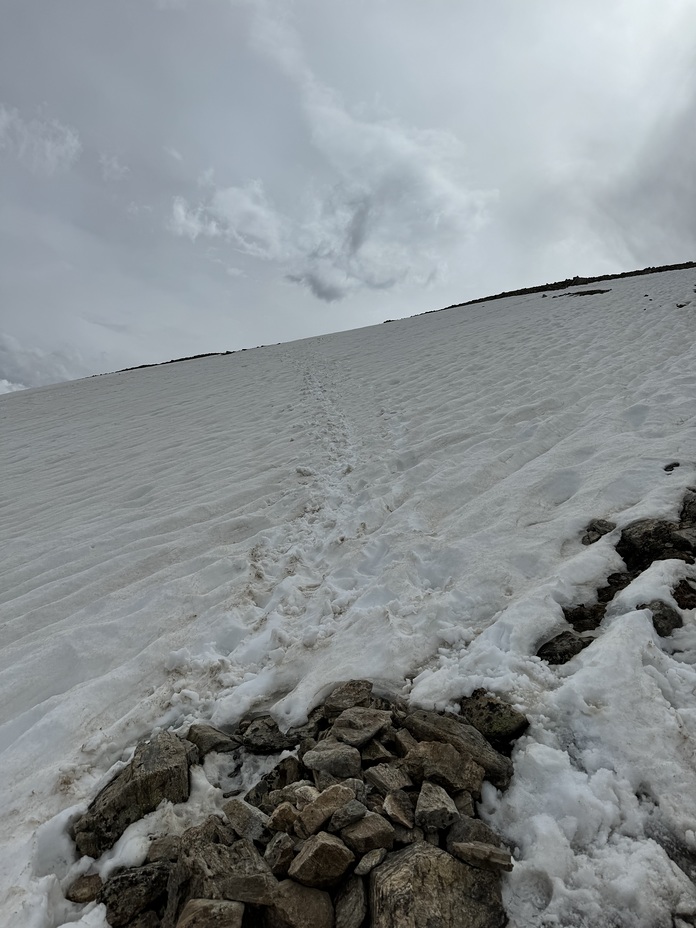 Snow sheet, Mount Elbert