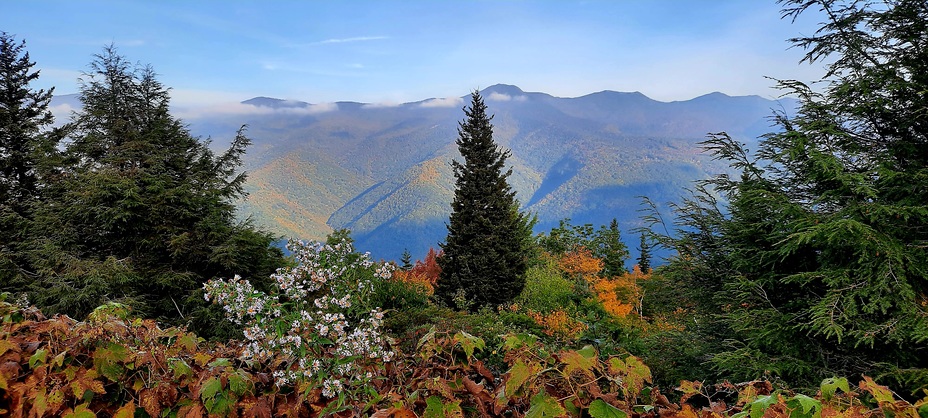 Autumn at her best!, Mount Mitchell (North Carolina)