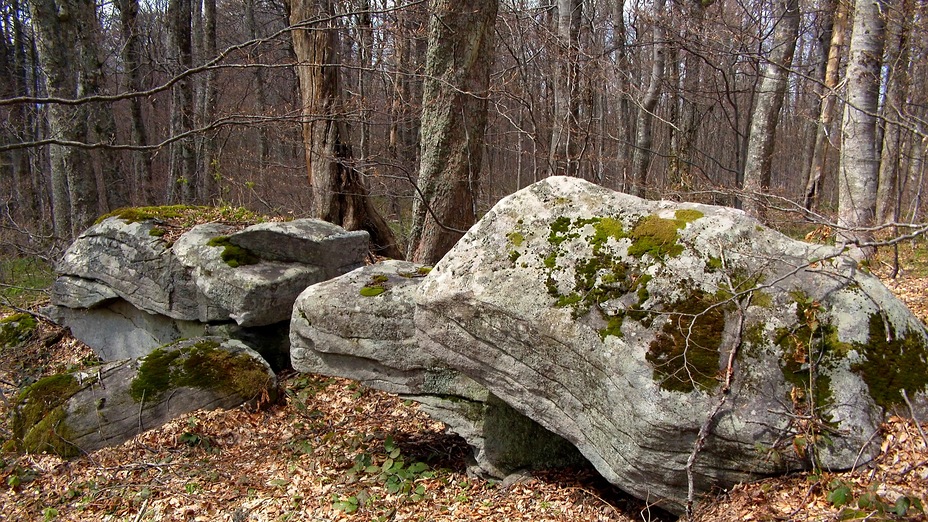 Ravna planina,Crni vrh 1542 mnv, Goč