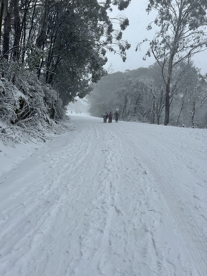 Snow, Mount Donna Buang