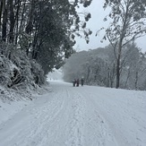 Snow, Mount Donna Buang