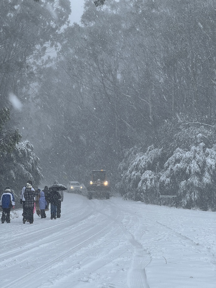 A heavy snowfall on Saturday Morning ❄️, Mount Donna Buang