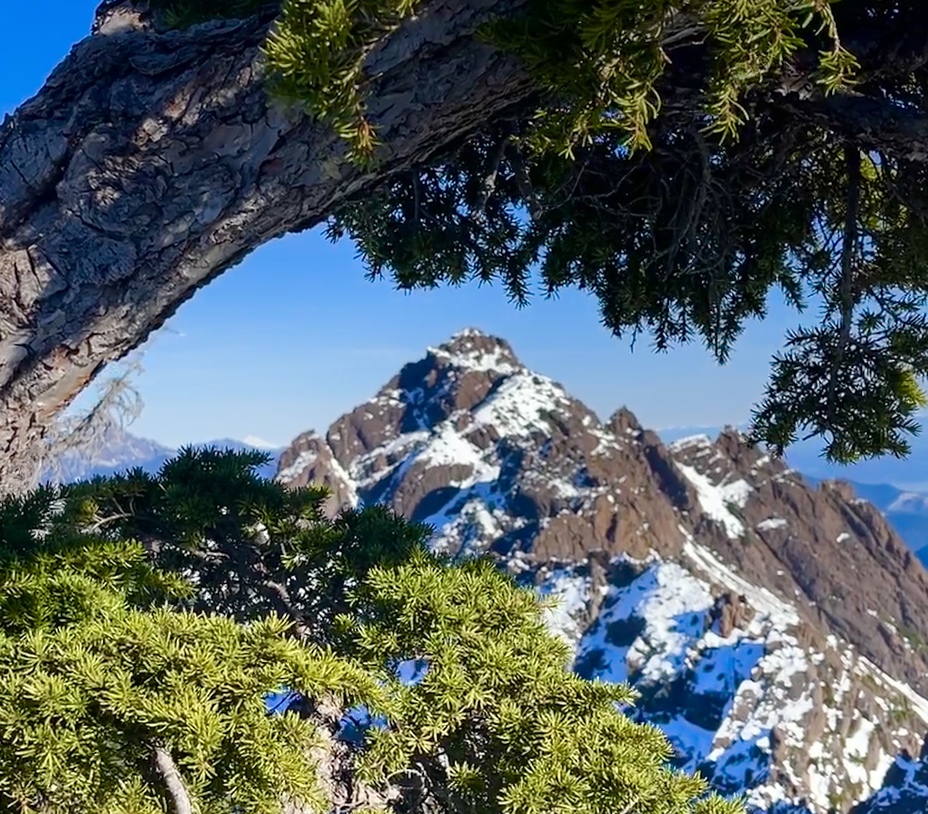 Mt Washington, Mount Ellinor