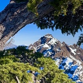 Mt Washington, Mount Ellinor