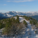 Hoary Head, Crusader etc, Mount Arthur