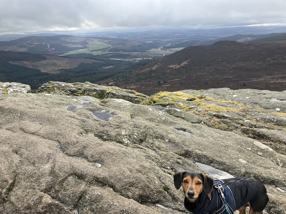 Walk up Bennachie