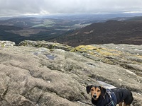 Walk up Bennachie photo