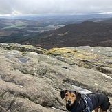 Walk up Bennachie